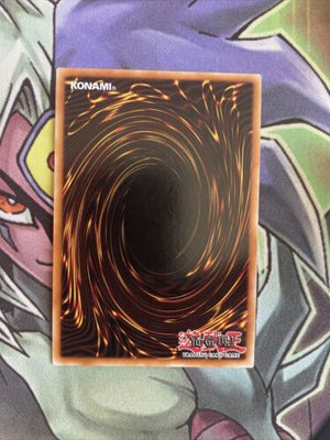 SDCR-EN017 The Light - Hex-Sealed Fusion Common Varying Edition NM Yugioh Card (back)