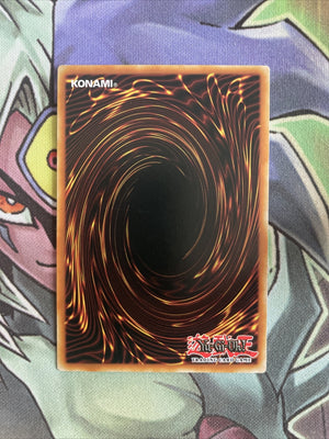 SS02-ENB01 Red-Eyes B. Dragon Common 1st Edition NM Yugioh Card (back)