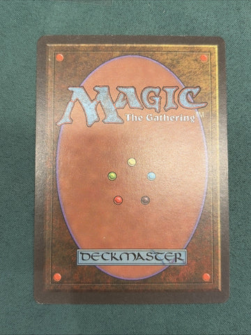 MTG Force Of Will Alliances LP Magic The Gathering (back)