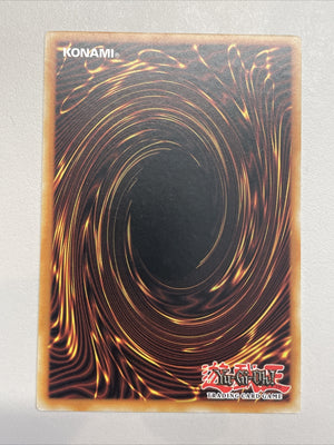 YUGIOH WIGHTPRINCE COMMON DUEA-EN047 1ST EDITION (back)