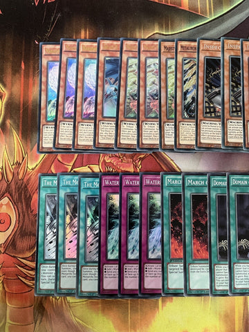 Deck True King Yugioh 30 Cards (back)