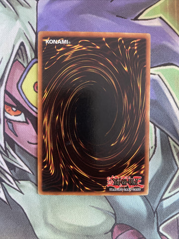 LOB-E008 Dark Gray Common 1st Edition NM Yugioh Card (back)