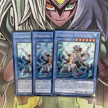 HA06-EN018 x3 Evigishiki Tetrogre Secret Rare Excellent Condition Yugioh