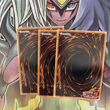 HA06-EN018 x3 Evigishiki Tetrogre Secret Rare Excellent Condition Yugioh (back)