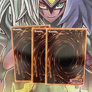 HA05-EN052 x3 Evigishiki Soul Ogre Secret Rare Excellent Condition Yugioh (back)