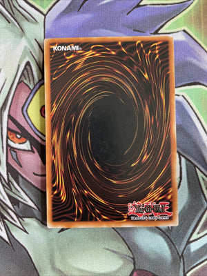 ANPR-EN023 Scary Moth Common NM Condition 1st Edition Yugioh Card (back)