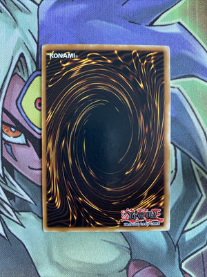 DB1-EN136 Left Leg Of The Forbidden One Common Unl Edition NM Yugioh Card (back)