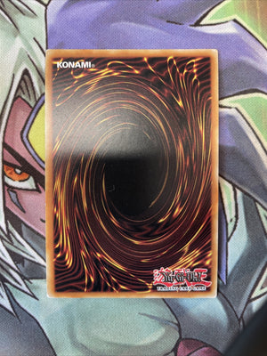 CORE-EN025 Luster Pendulum, The Dracoslayer Super 1st Edition NM Yugioh Card (back)