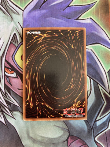 LOB-E019 Petit Dragon Common 1st Edition NM Yugioh Card (back)