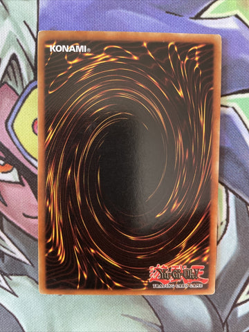 LOB-E083 Spike Seadra Common 1st Edition Near Mint Yugioh Card (back)