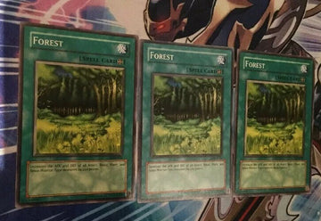 LOB-E036 / LOB-EN046 Yugioh 3x Forest (Mixed)!