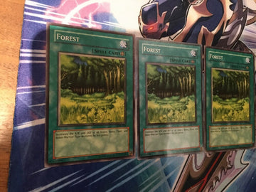 LOB-E036 / LOB-EN046 Yugioh 3x Forest (Mixed)! (back)