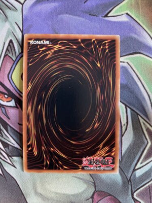 OP13-EN008 Crystal Wing Synchro Dragon Super Rare UNL Edition NM Yugioh Card (back)
