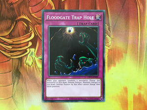OP13-EN025 Yugioh Floodgate Trap Hole - Common Near Mint Yugioh Card