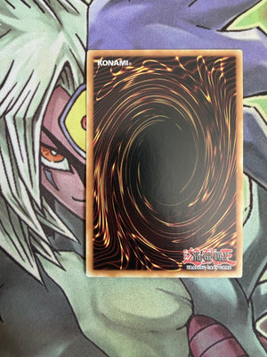 BP01-EN023 Tour Guide From the Underworld Starfoil Rare 1st Edition NM Yugioh (back)