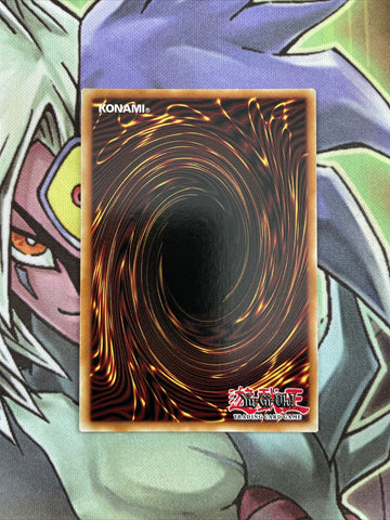 LDK2-ENK05 The White Stone Of Ancients Common Unl Edition NM Yugioh Card (back)