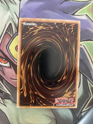 EXVC-EN038 Life Stream Dragon Ultimate Rare 1st Edition NM Yugioh Card (back)