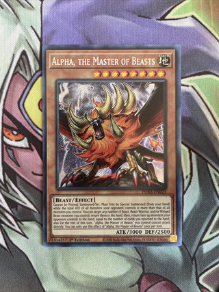 Yu-Gi-Oh! — Phantom Rage