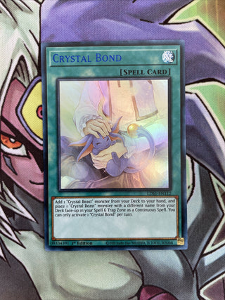 Yu-Gi-Oh! — Legendary Duelists: Season 1