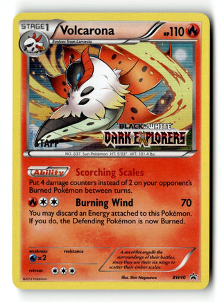 Pokemon — Black & White