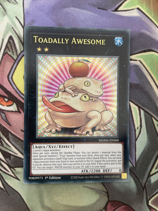 Yu-Gi-Oh! — Magnificent Mavens