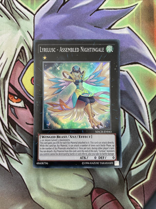 Yu-Gi-Oh! — Maximum Crisis