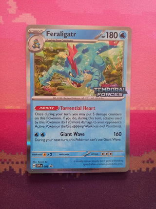 Pokemon — Temporal Forces