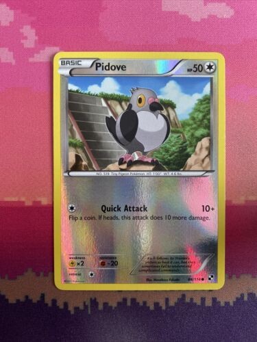 Pokemon Card Pidove Black & White Reverse Holo Common 84/114 Near Mint
