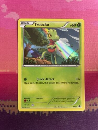 Pokemon Card Treecko XY36 Black Star Promo Holo Near Mint