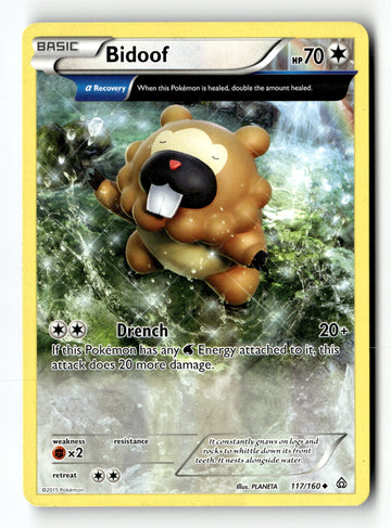 Pokemon Card Bidoof (Alpha) LP XY - Primal Clash Uncommon 117/160