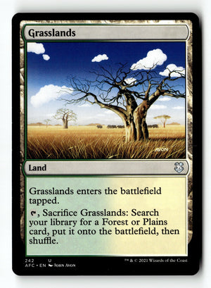MTG Grasslands Adventures in the Forgotten Realms LP Magic The Gathering