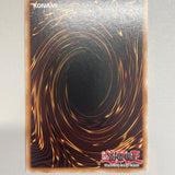 Yugioh! Raidraptor-Fuzzy Lanius CORE-EN013
