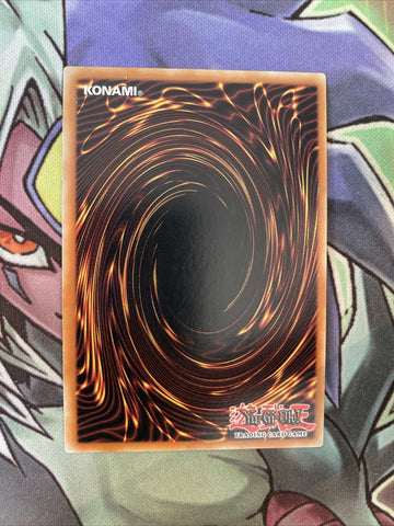 DUNE-EN057 Noble Arms Museum Ultra Rare 1st Edition NM Yugioh Card (back)