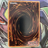DUNE-EN057 Noble Arms Museum Ultra Rare 1st Edition NM Yugioh Card