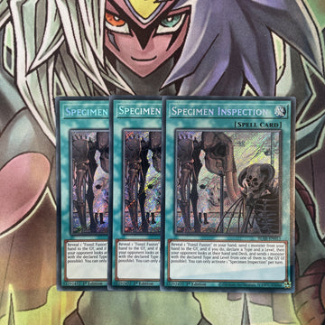BLAR-EN013 x3 Specimen Inspection Secret Rare Excellent Condition Yugioh