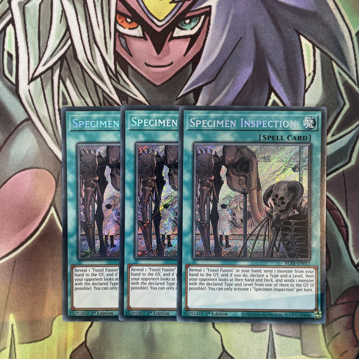 BLAR-EN013 x3 Specimen Inspection Secret Rare Excellent Condition Yugioh