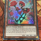 ETCO-EN081 Rose Girl - Super Rare - 1st Edition - YuGiOh