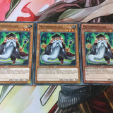 SDCL-EN017  3x Common Mathematician 1st Edition Yugioh