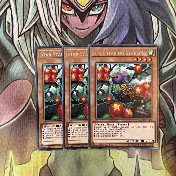 DANE-EN024 x3 Star Staring Starling Rare Excellent Condition Yugioh