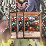 DANE-EN024 x3 Star Staring Starling Rare Excellent Condition Yugioh