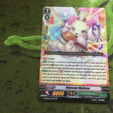 CARDFIGHT VANGUARD CARD: FINECOAT MALTESE - G-CHB02/021EN RR!