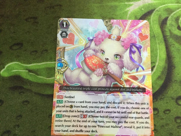 CARDFIGHT VANGUARD CARD: FINECOAT MALTESE - G-CHB02/021EN RR! (back)