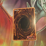 DLG1 Yugioh SENJU OF THE THOUSAND HANDS UNLIMITED TRADING CARD!