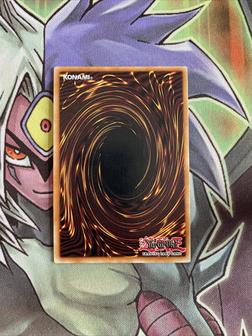 TSHD-EN025 Wattgiraffe Super Rare 1st Edition NM Yugioh Card (back)