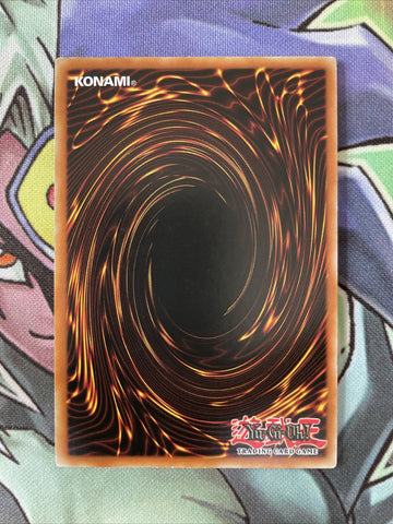 GLD5-EN005 Don Zaloog Common Limited Edition Yugioh Card Near Mint Condition (back)