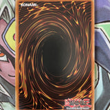 GLD5-EN005 Don Zaloog Common Limited Edition Yugioh Card Near Mint Condition