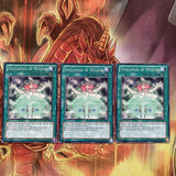 REDU-EN060 x3 Spellbook of Wisdom Rare UNL Edition Mint YuGiOh Card