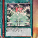 REDU-EN060 x3 Spellbook of Wisdom Rare UNL Edition Mint YuGiOh Card