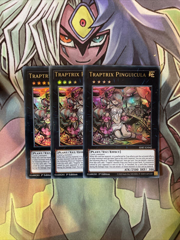 SDBT-EN042 x3 Traptrix Pinguicula Ultra Rare Excellent Condition Yugioh