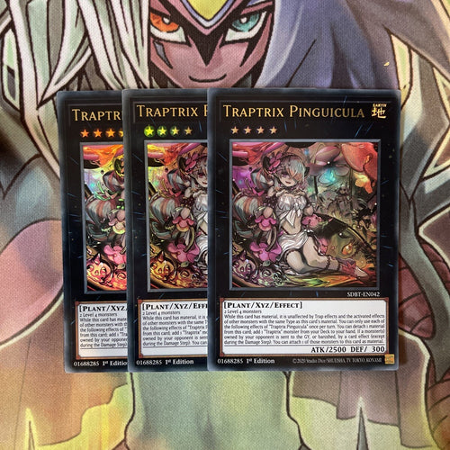 SDBT-EN042 x3 Traptrix Pinguicula Ultra Rare Excellent Condition Yugioh